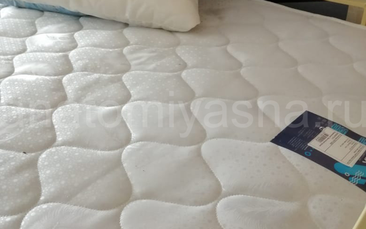 отзыв о Матрас Dimax Оптима Премиум Хард Лайт фото 2