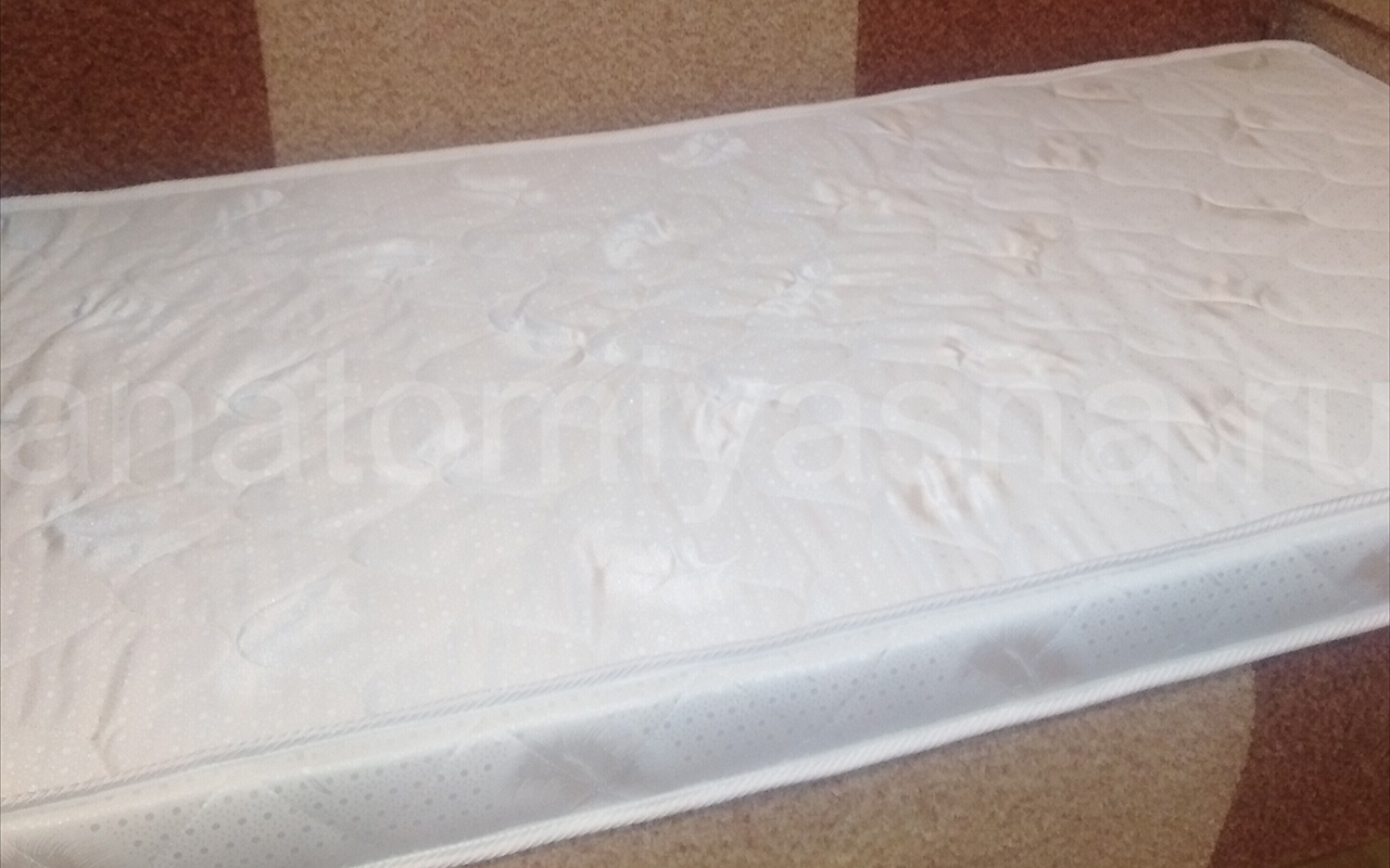 отзыв о Матрас Dimax Оптима ролл кокос фото 3